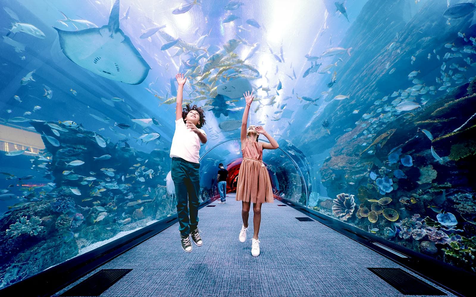 Dubai Aquarium & Underwater Zoo with Penguin Cove Tickets - image 9