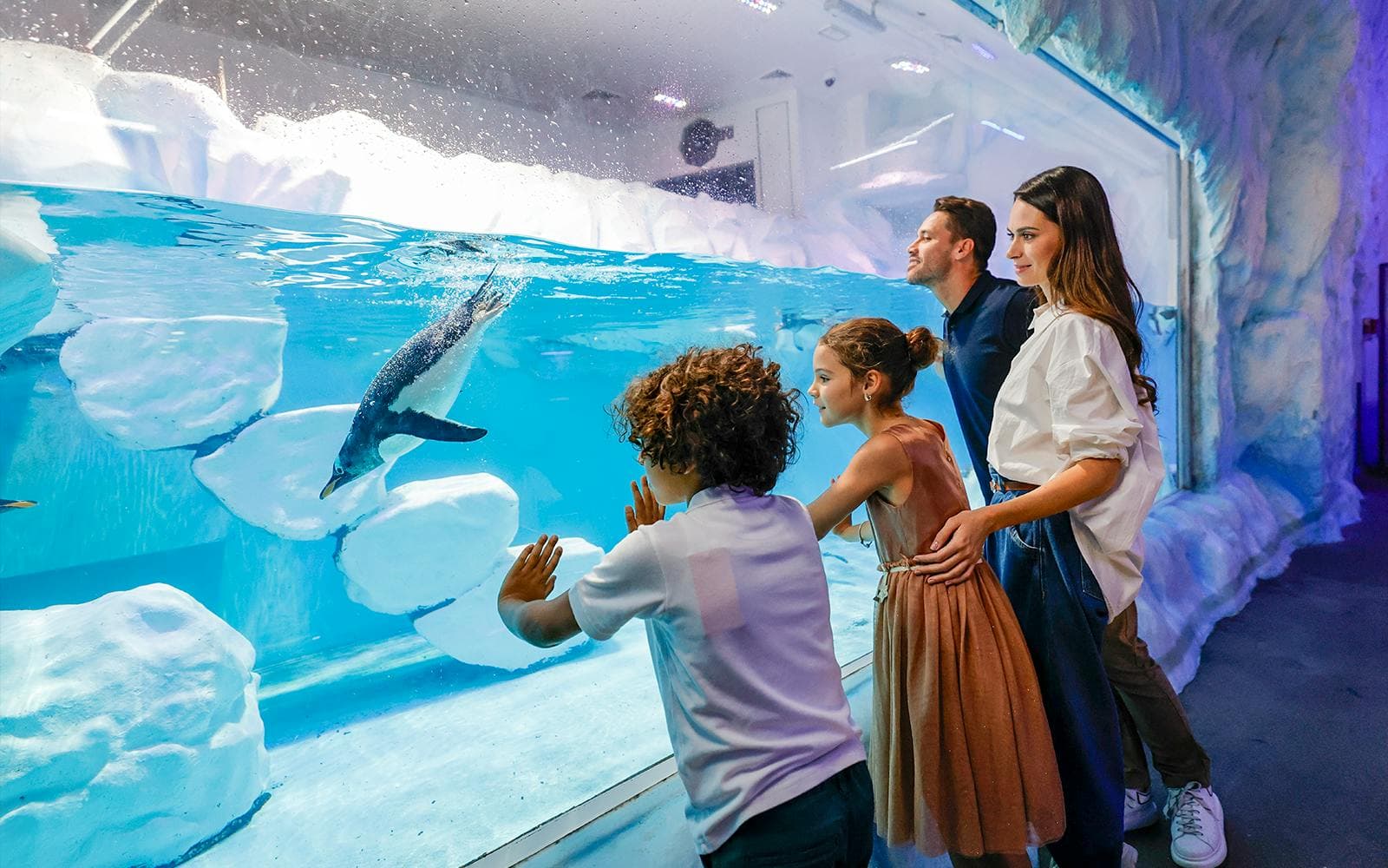 Dubai Aquarium & Underwater Zoo with Penguin Cove Tickets - image 7