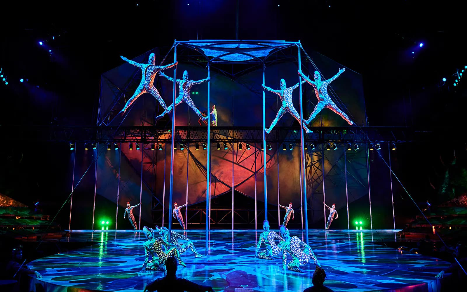 Cirque du Soleil Mystère: Las Vegas - image 3