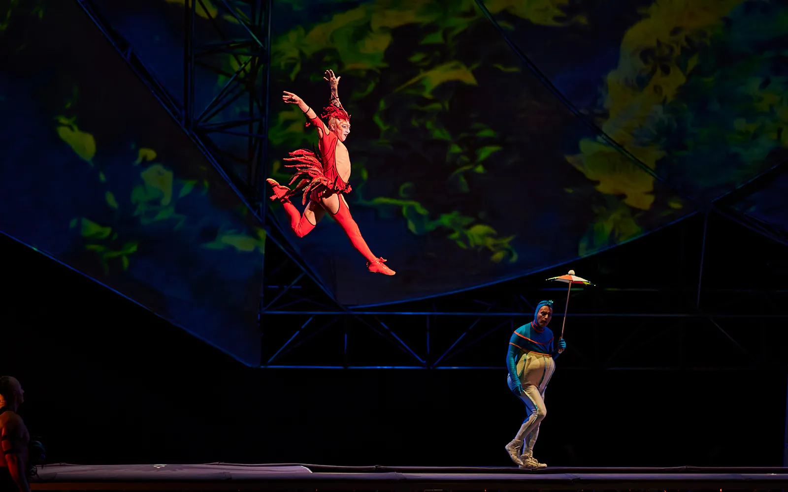 Cirque du Soleil Mystère: Las Vegas - image 6