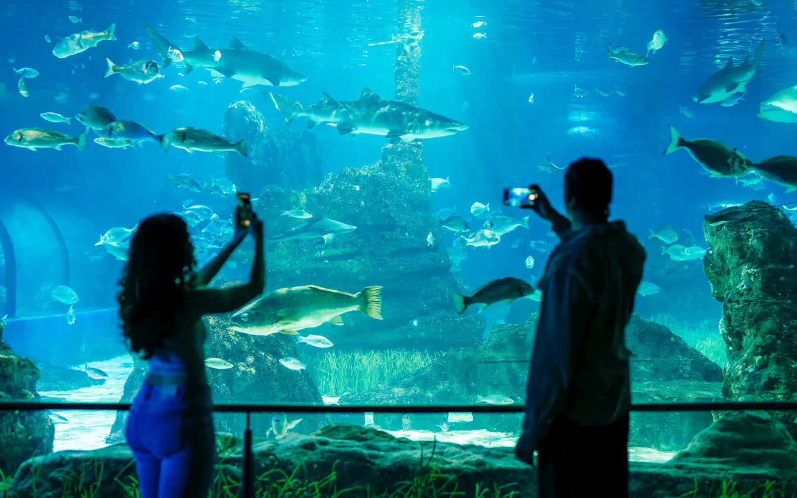 Barcelona Aquarium Skip-the-Line Tickets - image 2