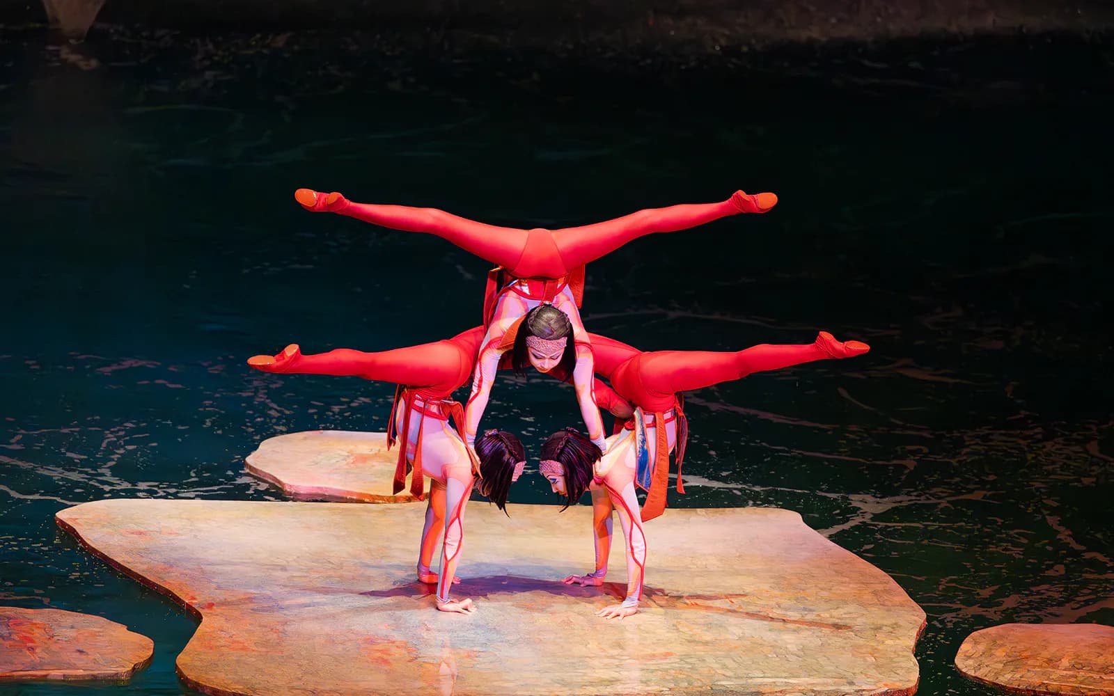 Cirque du Soleil 'O': Las Vegas - image 4